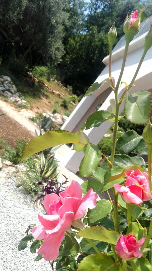 Sun Seoce Appartement *